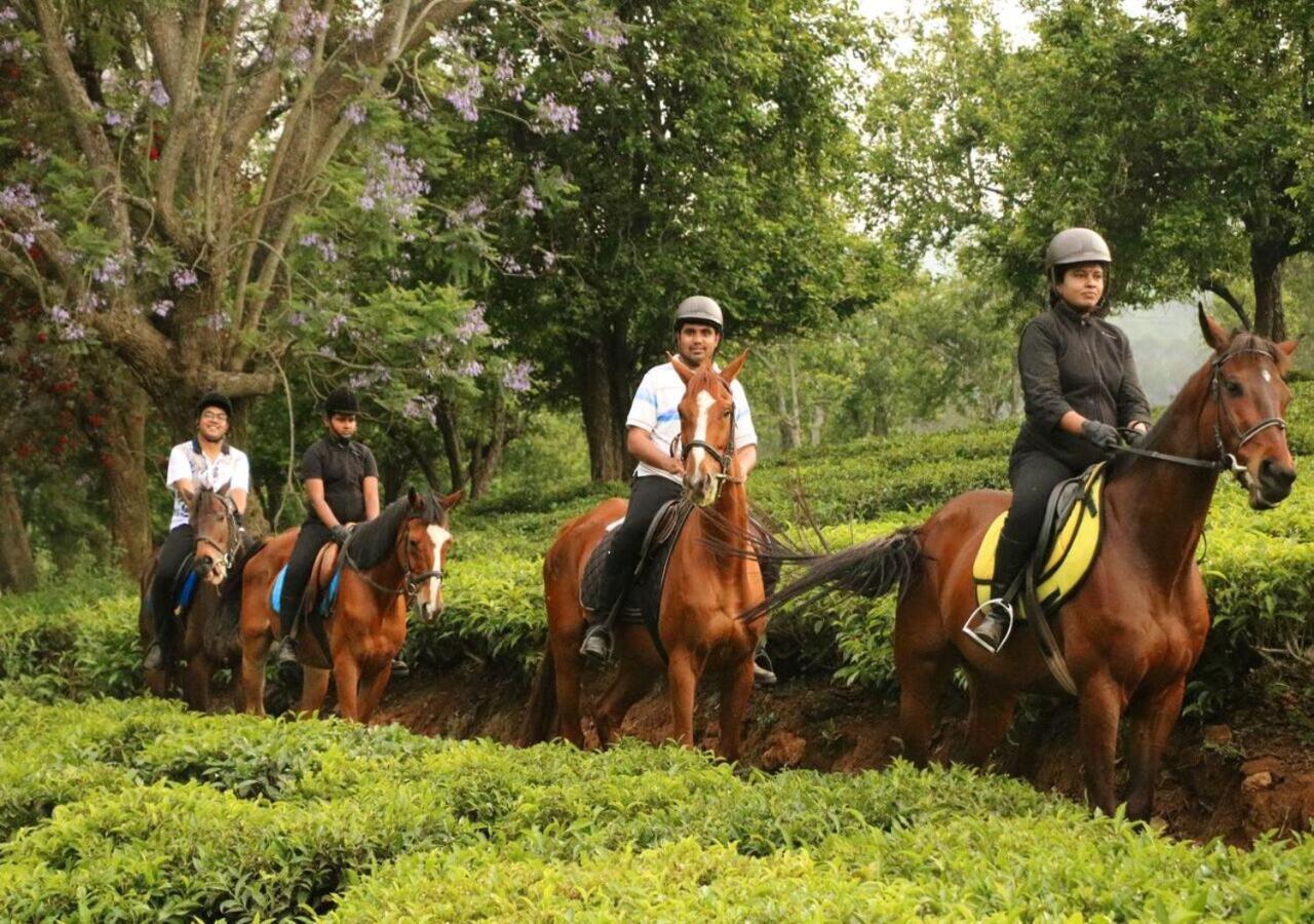 Sleeping Beauty By Nature Resorts And Stays 乔奥诺奥尔 外观 照片
